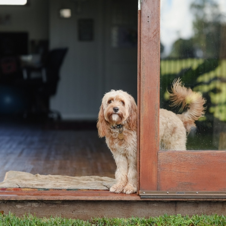 Sliding door services in Peoria, AZ